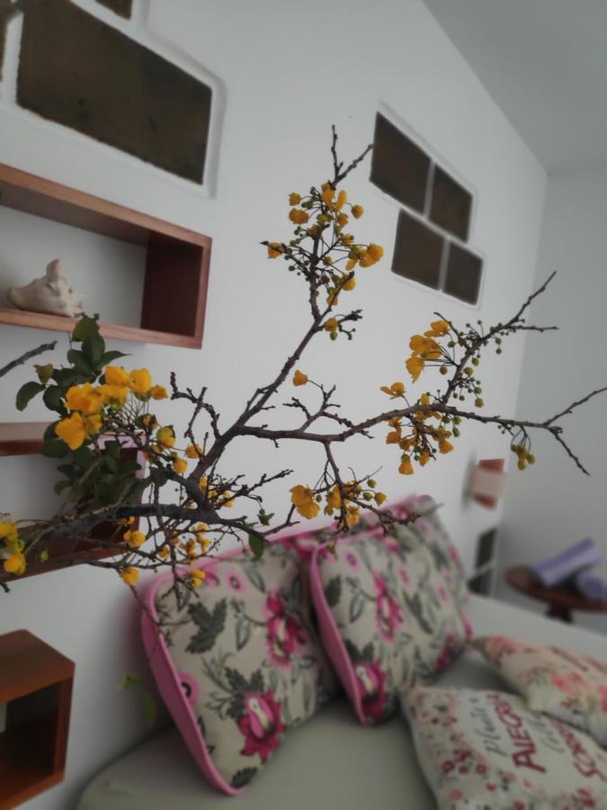Anacardium Canoa Quebrada Exterior foto